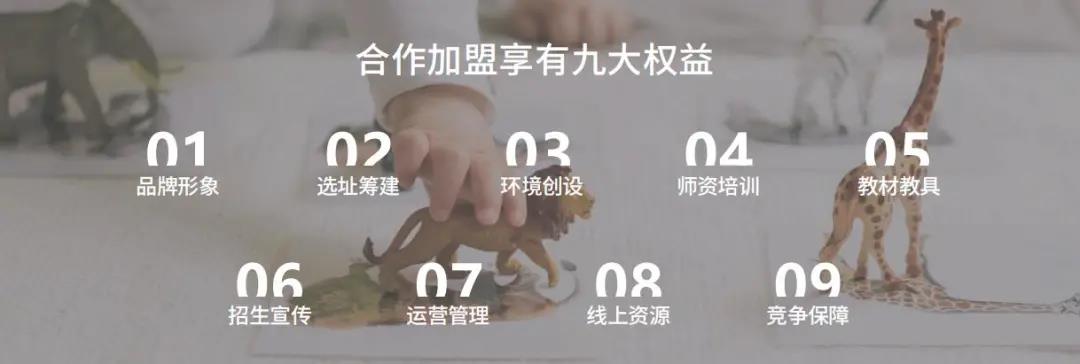 幼儿园、托育园所加盟看哪几个指标？(图9)