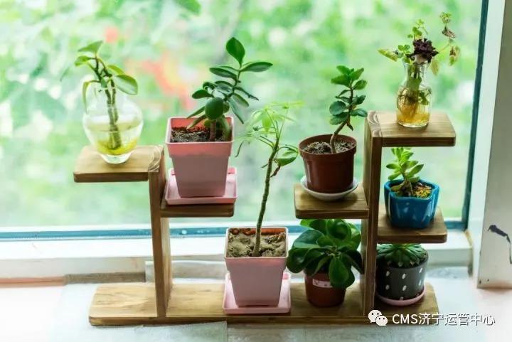 【CMS济宁运管中心】学会这几招，蒙氏环境在家也能创造！(图2)