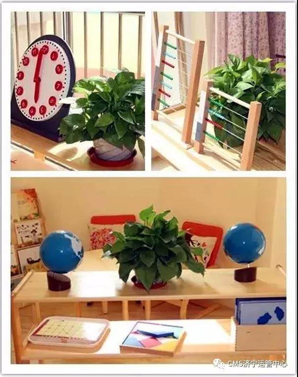【CMS济宁运管中心】学会这几招，蒙氏环境在家也能创造！(图3)