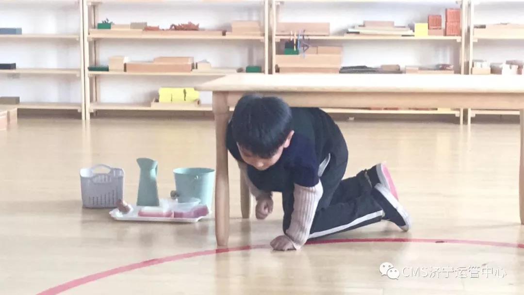 【CMS济宁运管中心】学会这几招，蒙氏环境在家也能创造！(图5)